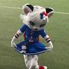 Kaye小凯