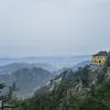 道本无邪