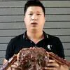 蓝军阳弟